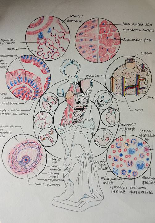 1.手绘 作品分类1 《镜下的永恒之美》男同性恋av
 田康祺