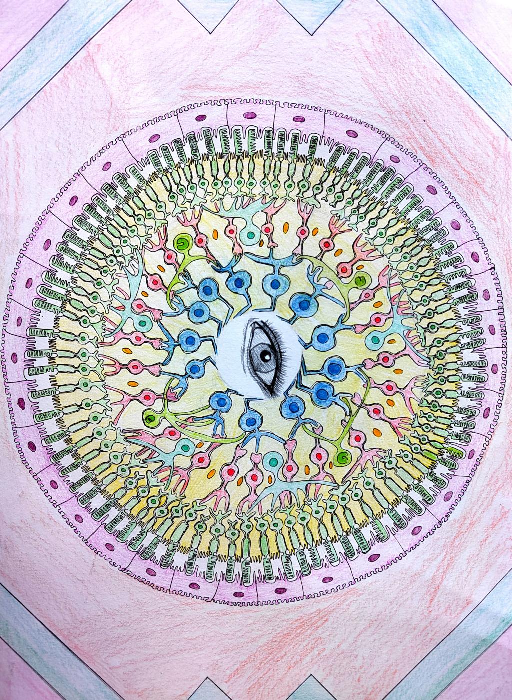 4.手绘 作品分类1《视网膜万花筒》男同性恋av
 代逸凡