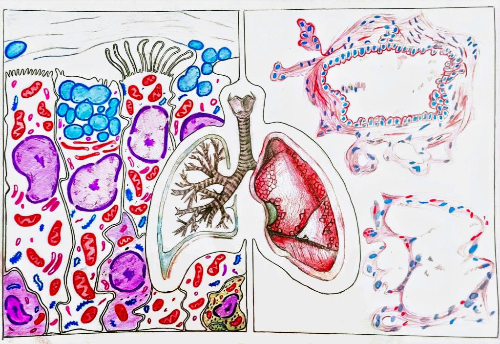 5.手绘 作品分类1《识“肺”》 男同性恋av
 杨佳欣