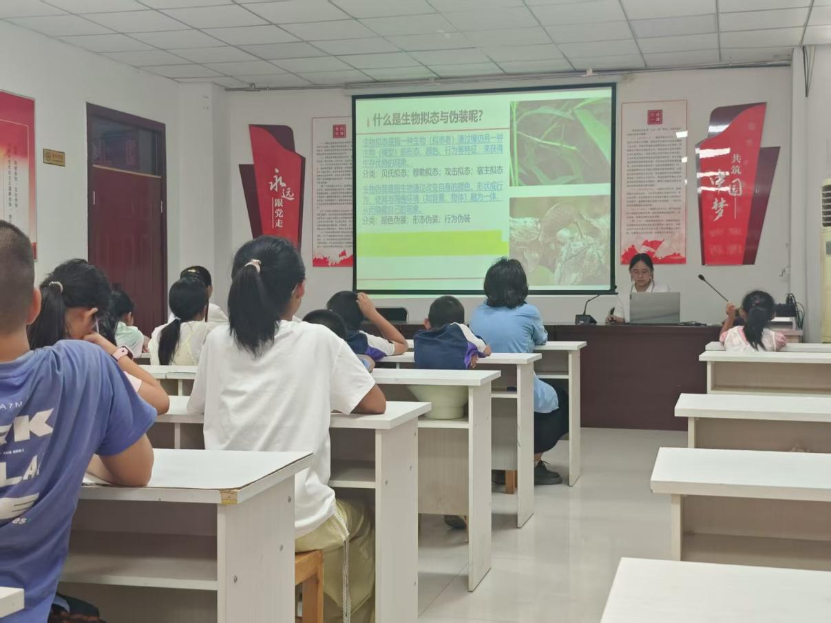 e35bb3ea0338975116e638fd8e3d5cc